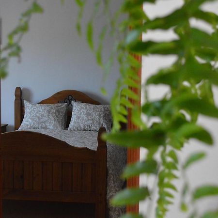 Casa Las Pardelas Icod De Los Vinos Extérieur photo